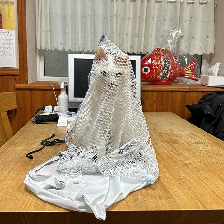 Dcee32c3 47c6 4ffd aefe 232109d29d2c 1675894320866