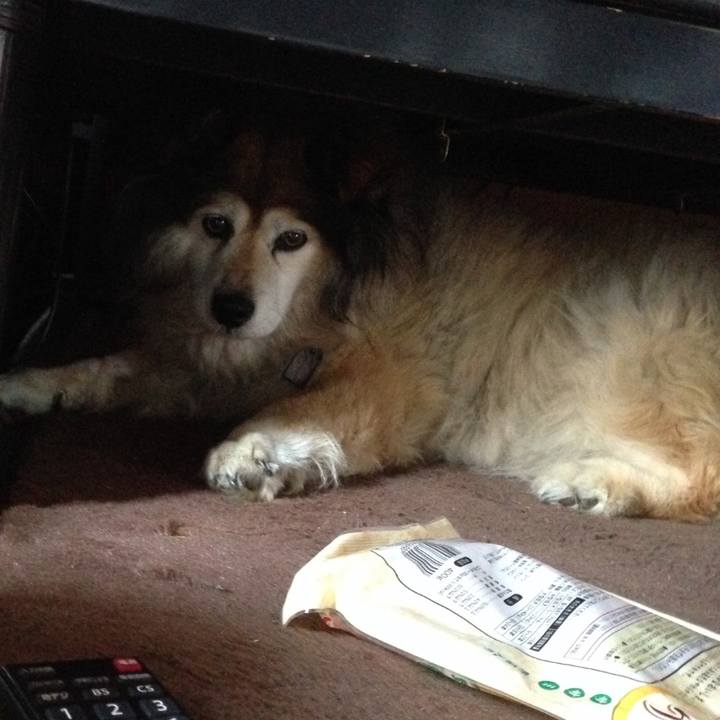 Dcee338b 6ab5 492b 8176 4bf86343b33a 1655957138228