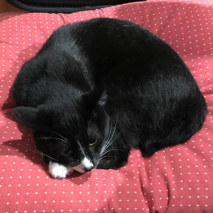 Dcee3c04 efc9 4549 85c6 1bf08841de08 1571888688751