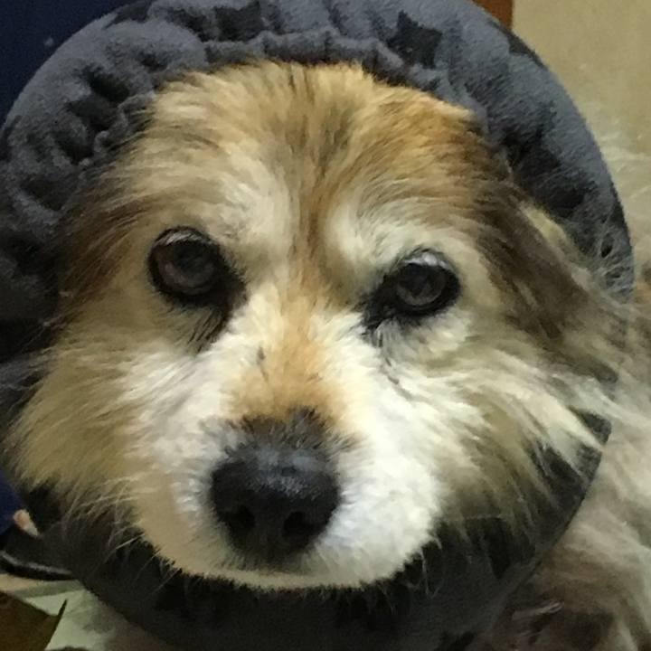 Dcee5ad9 b057 465e bbac c49337b584e2 1622428416522