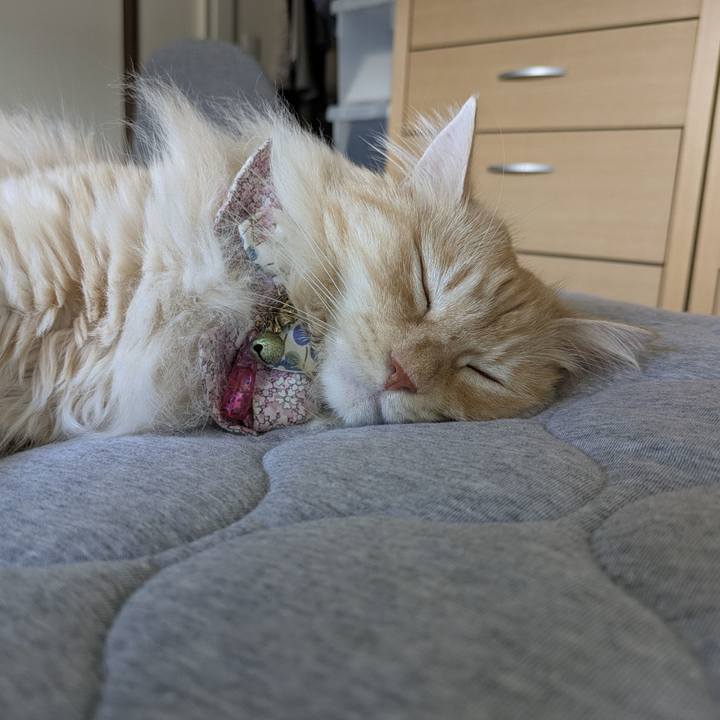 Dcee64b7 602a 4646 af1f e73863331b7c 1755478399335