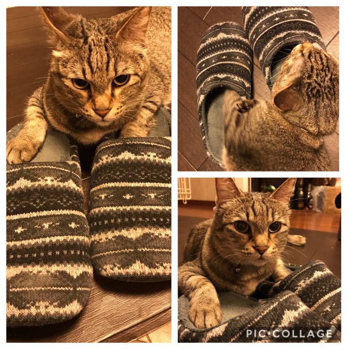 Dceec464 4468 4a14 b304 af8d8f6da895 1559302193570