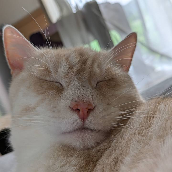 Dcef0d77 0641 4e69 be52 d35e15587a41 1719894406634