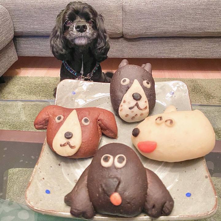 Dcef233d f777 40c0 8821 11ea22968f01 1653996251359