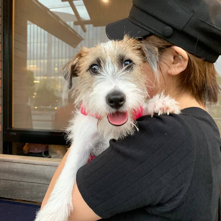 Dcef5f5d 2294 4c99 bf0a 71da6bea04e6 1568543171347