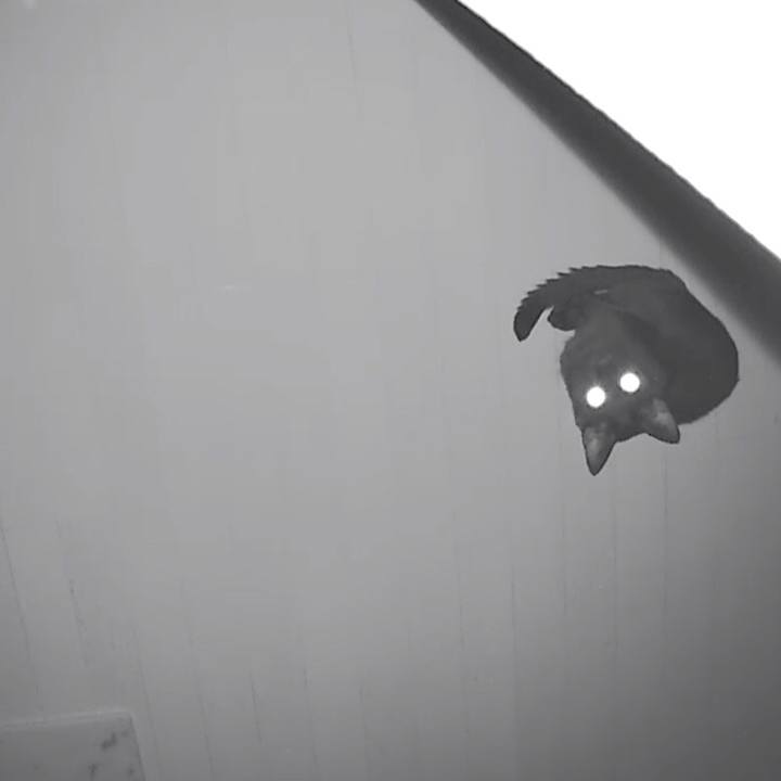 Dcef6763 6b58 44ee 9d84 c18681118ee4 1534940397652