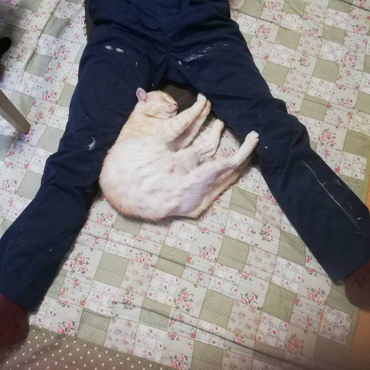 Dcefec7d 4d2b 496c 9a30 2321d9b6e4e0 1689026231523