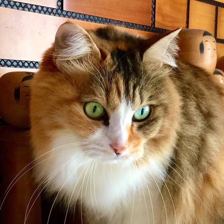 Dcf00187 3f9c 46dc b775 57750262024e 1613459715367