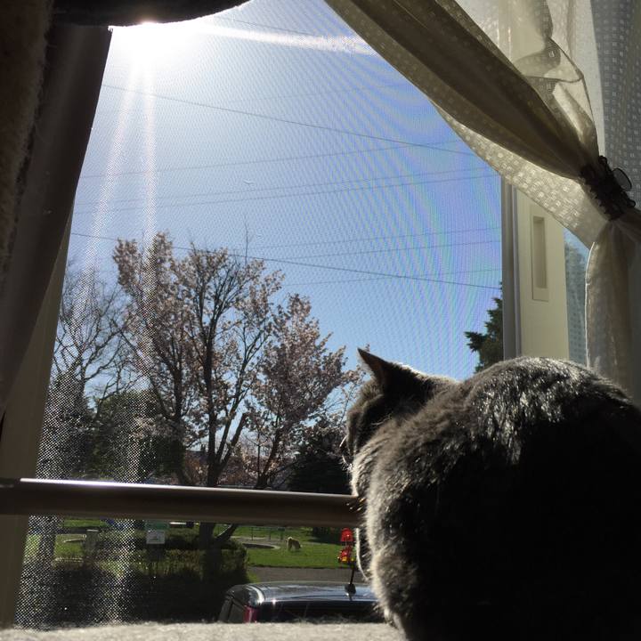 Dcf01f3f c3de 4de4 9924 e2baf11689c9 1553817569857