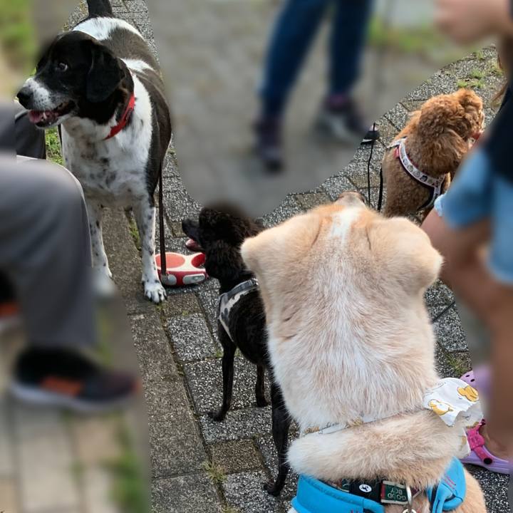 Dcf0311e f22d 4480 8f51 c02bb84dc873 1660662903868