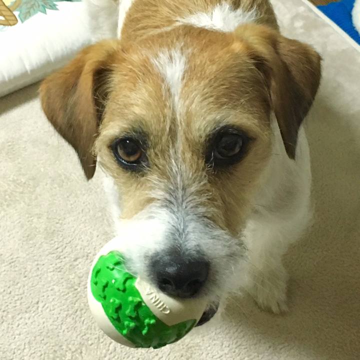 Dcf035bc d4f0 45b8 9cd0 6ea986624bfc 1547731698138