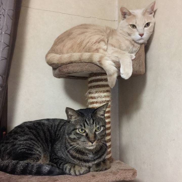 Dcf099dd 264f 433e 9c68 145abc336663 1589875457867