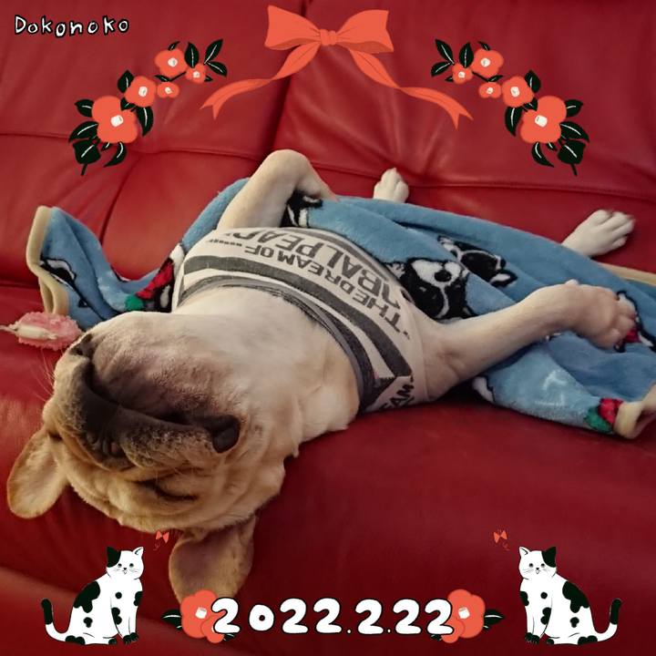 Dcf0c39a 01e5 45fe aec8 bffcb0f58450 1645532207445