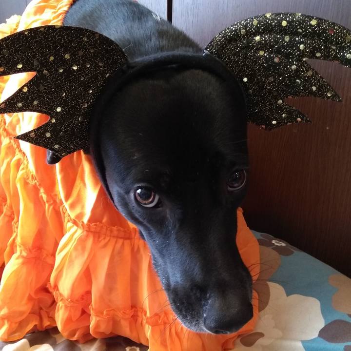 Dcf14329 de01 4418 92d9 d39099f216ed 1604093868197