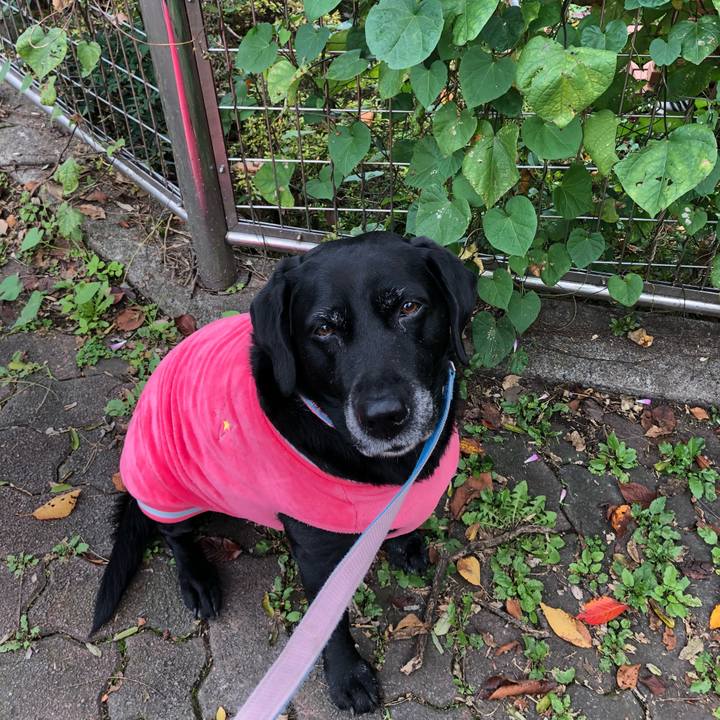 Dcf163ad 098e 4c8c 99df dbaae06e1bcc 1542205989705