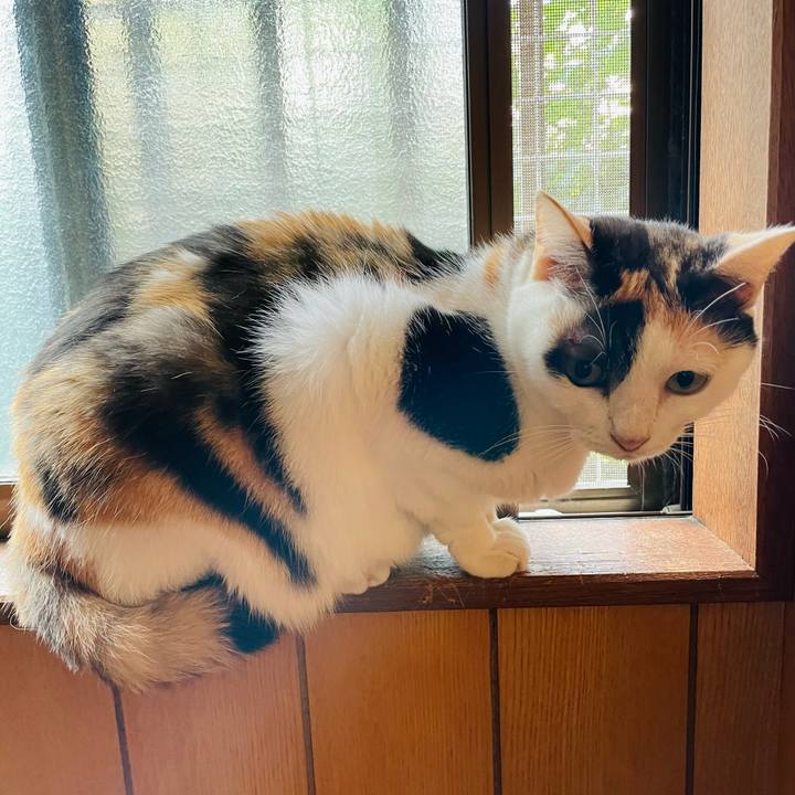 Dcf173ec 5558 4473 ad6f 68c1179029fc 1635388092894