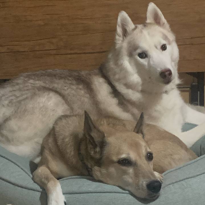 Dcf1a5e1 ec92 4d87 9945 5699af01f588 1725754217384