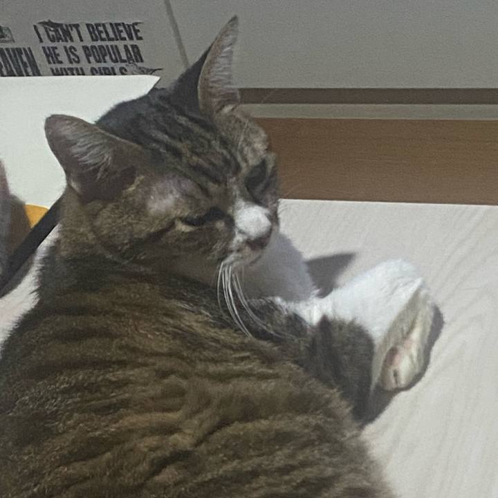 Dcf1b375 ab73 4ce8 9c36 a4bd1f704675 1723902361988