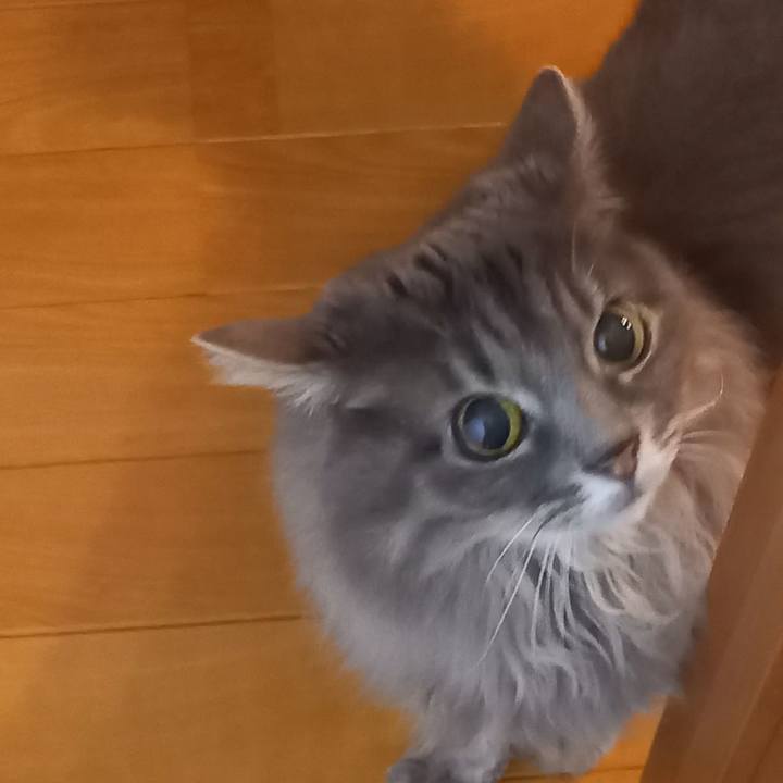 Dcf1ba59 e744 44c7 b5aa d414683cc74f 1666358632813