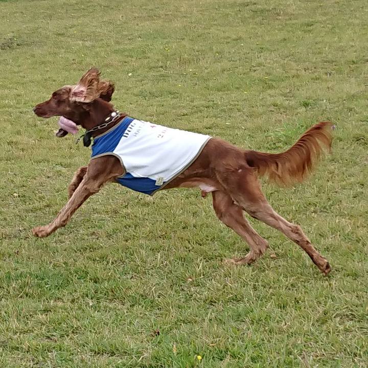 Dcf1c01d 399c 4782 bb9e d637e4681c73 1538715133283