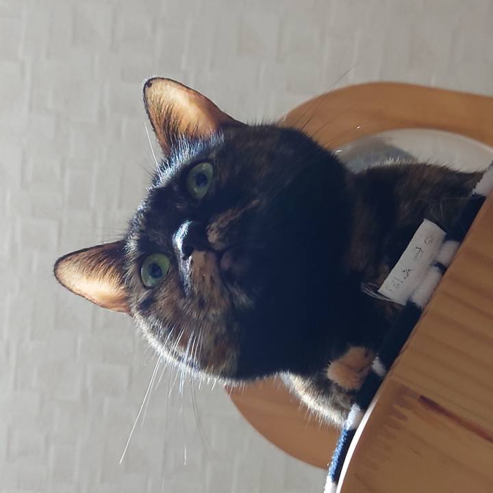 Dcf1c7b9 0377 4b5d a542 590848d4545e 1676247842594