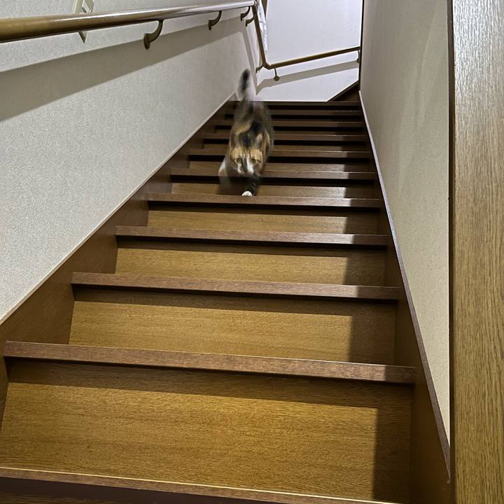 Dcf1d469 1d26 405e 9acd 73fa7b2a5004 1732228204168