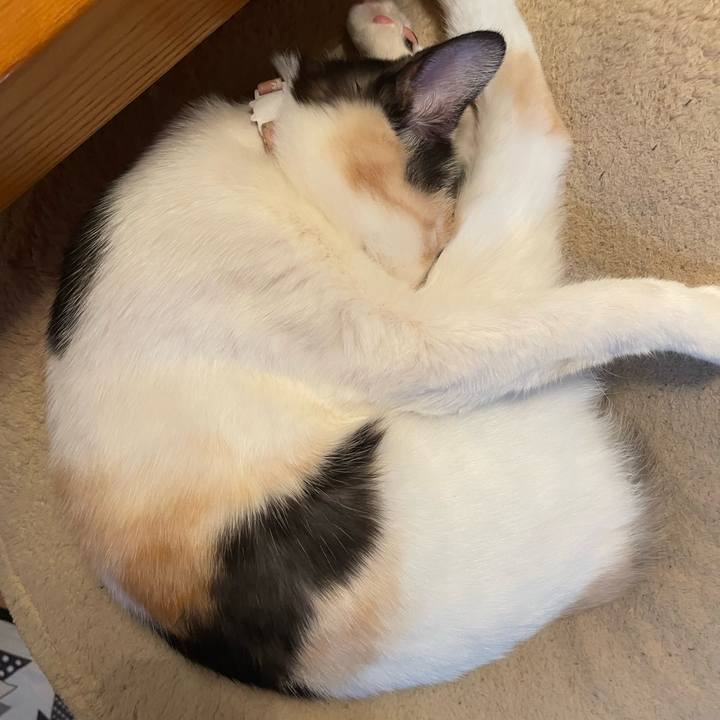 Dcf1dfed 575f 4208 bdfe 889ca48b3de3 1676890498801