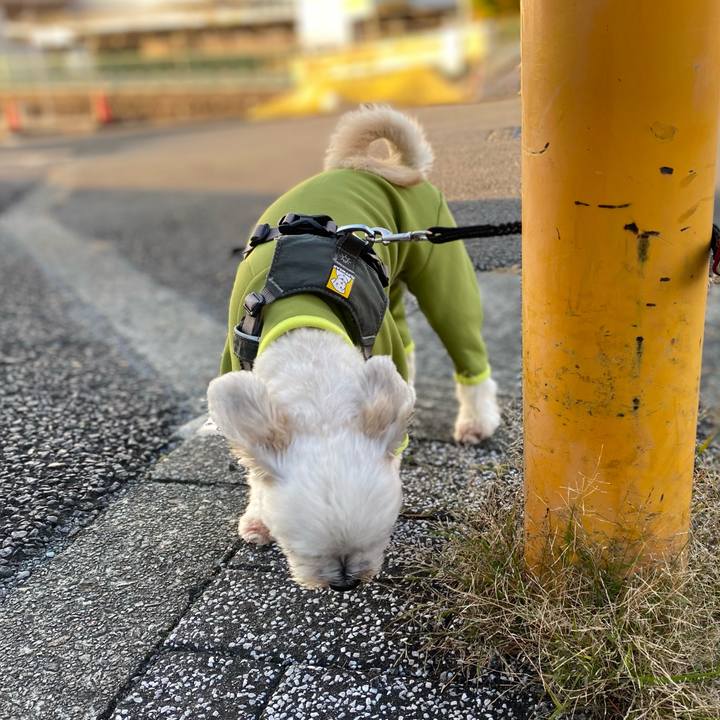 Dcf1fd12 c096 4592 b80f a690b9d589a0 1605223620417