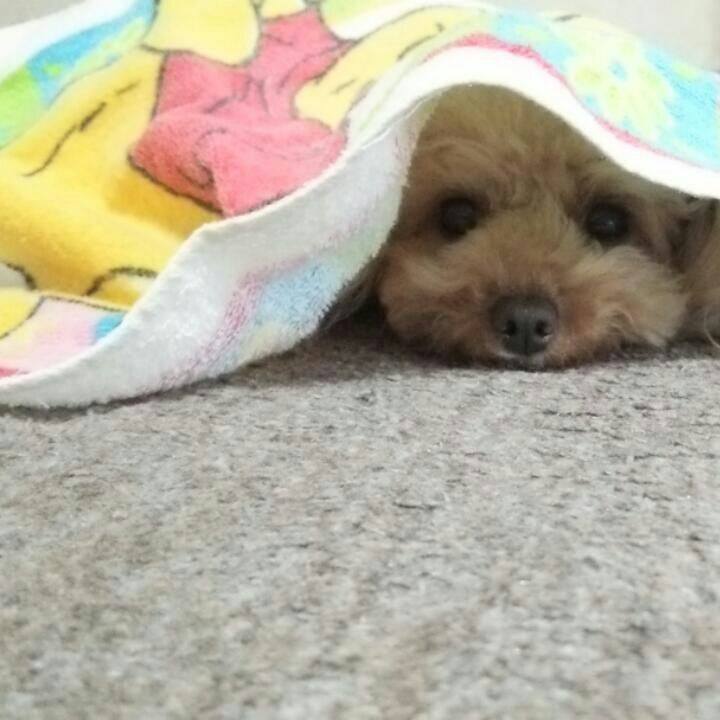 Dcf205d7 e423 4757 b2e4 9145adb8fb79 1528891306453