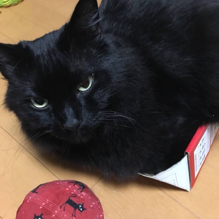 Dcf20ec7 77c8 466d 98f8 00b21b071d08 1529510633359