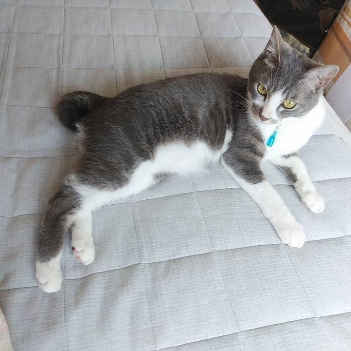 Dcf2171d 8a24 4378 aab9 f1f2d8cb343c 1591660823771