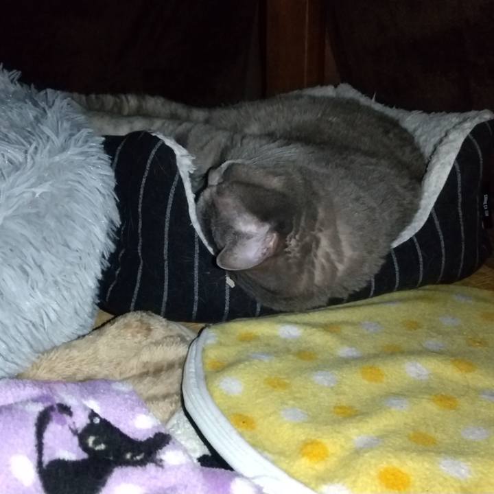 Dcf253f0 3bcb 42f0 9b7b db590978f806 1639271113370