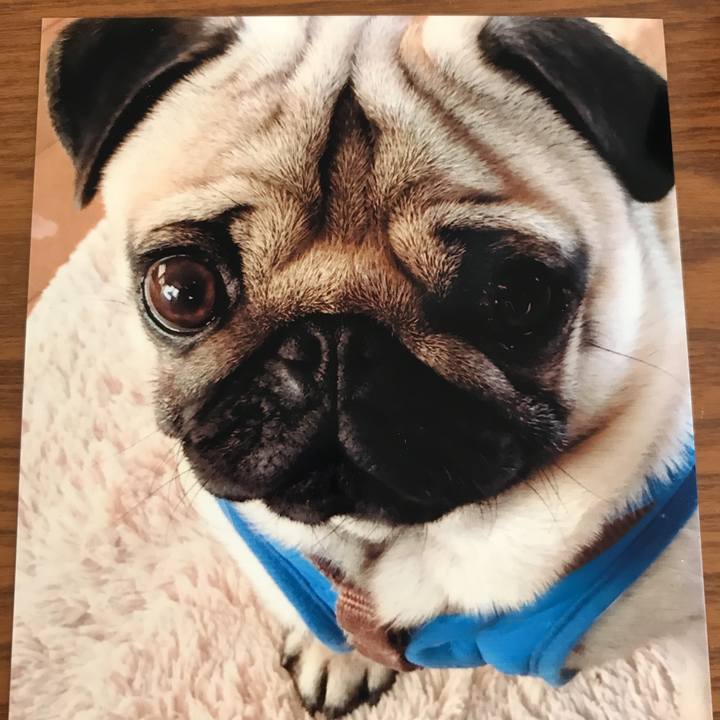 Dcf26093 aa59 4bc0 8aab 70d15e7b55b4 1532212844406