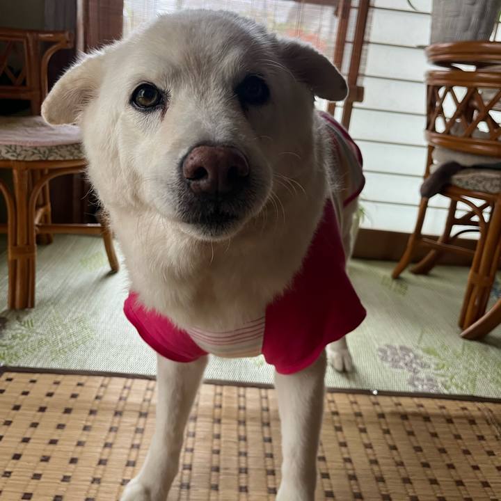 Dcf29aeb f875 4e19 8292 00222f3f3f05 1762211749111