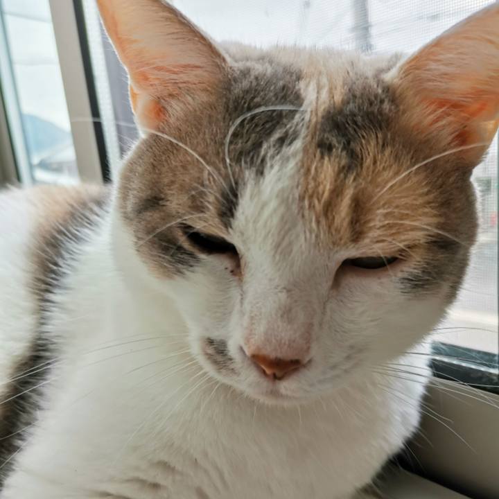 Dcf2d002 3ada 4719 9f6a 0be2f723ee0d 1661397570941