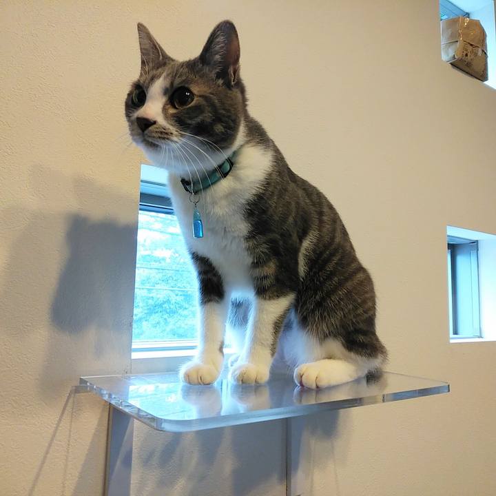 Dcf2d017 cab9 4ff2 8961 30ff81119d65 1586646916362