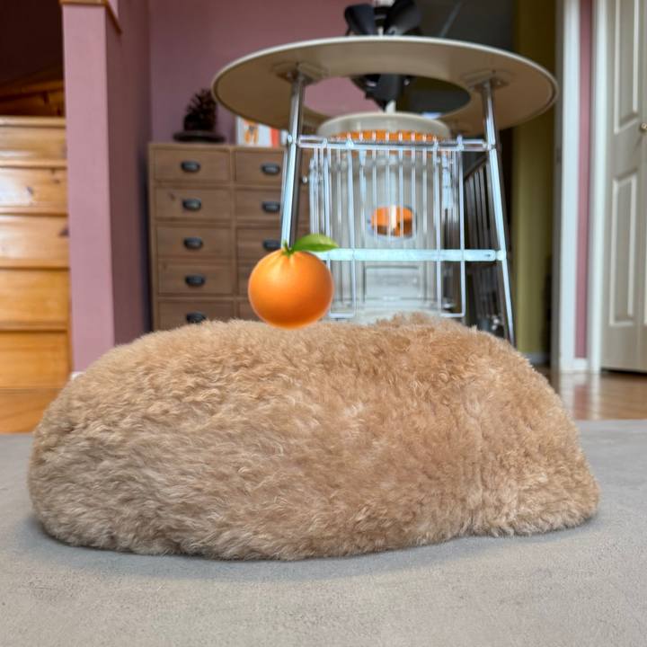 Dcf2d5df f6cf 402e b2dc 64f32882925c 1767243361514