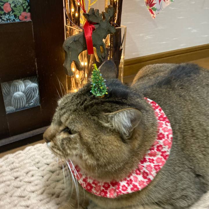 Dcf2da08 0e57 4cc8 82ec 0fe5db08ca8d 1703375560753