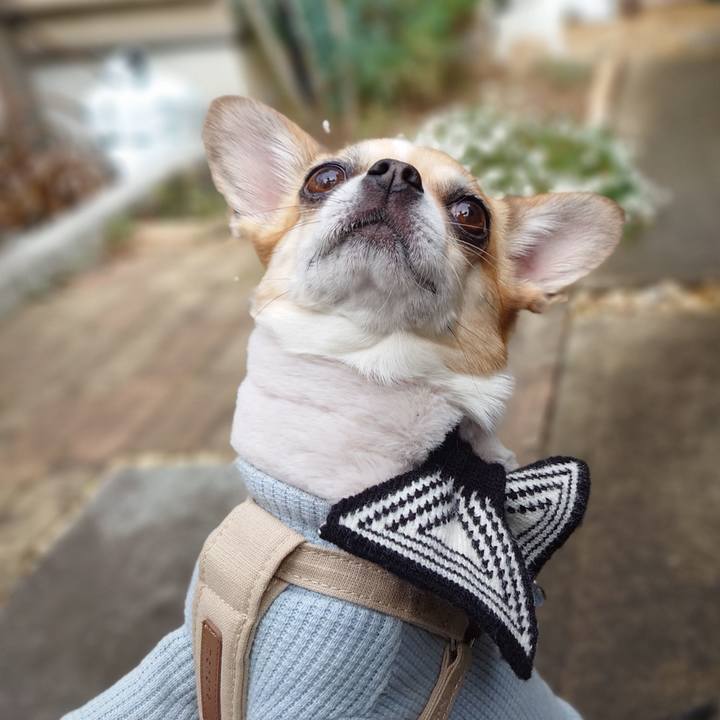 Dcf32ace eba2 47f4 8556 8959b10b3403 1708247581927