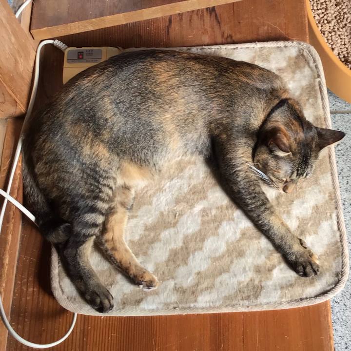 Dcf340e1 e1dd 4fe6 a4a1 541e16637c23 1635233539291