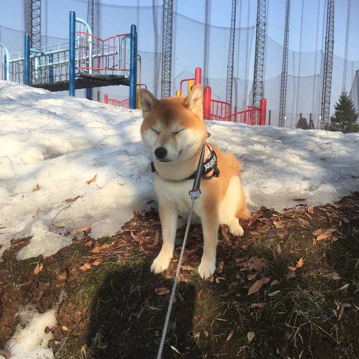 Dcf34733 0128 4aae 9cd4 8f429b17f6a1 1522143188932