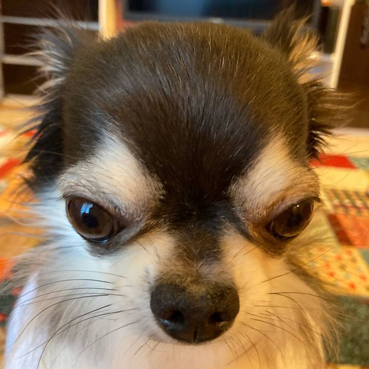 Dcf36fc1 d2c1 437d 9685 6c8d56d385e3 1707647758859