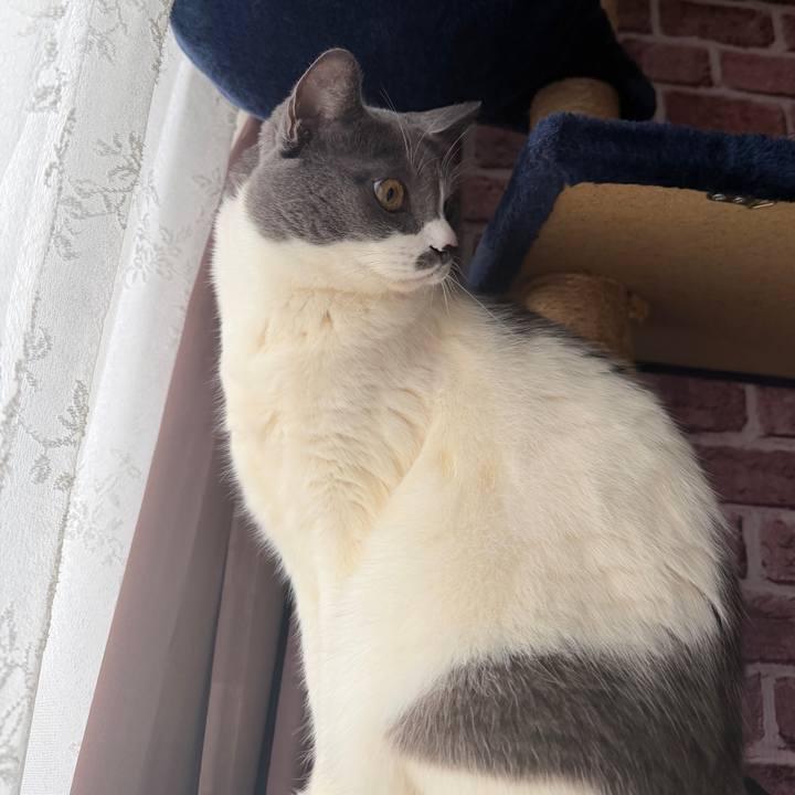 Dcf3fddb e5ab 44e7 9123 5e74863dac3f 1772497250130