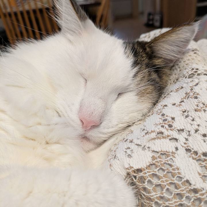 Dcf43fac d852 4f31 bf8d 439f033e4e57 1767507479916