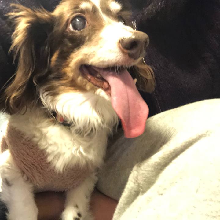 Dcf46d93 e4c8 44df b0f9 cff071126942 1583331725794