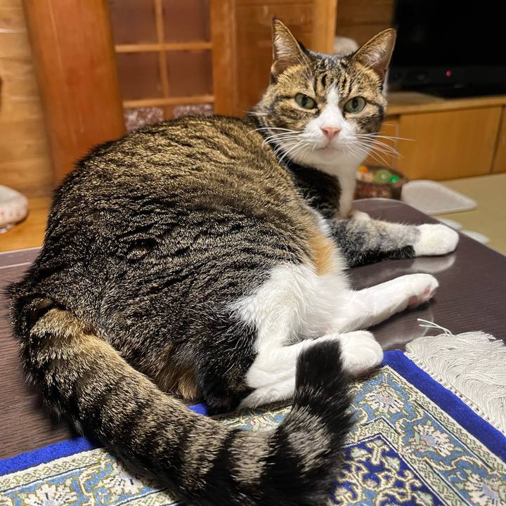 Dcf4d979 a353 4905 84b9 7454b0a67f98 1726742056217