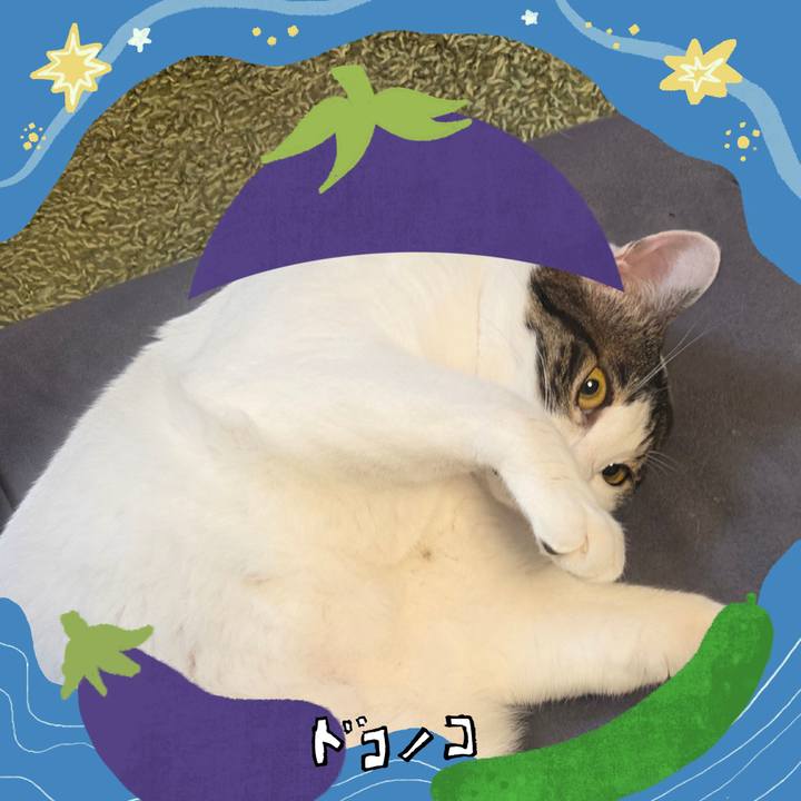 Dcf4df1d 91e0 4cac 8f3e 3a1b2288cf9c 1755083581800