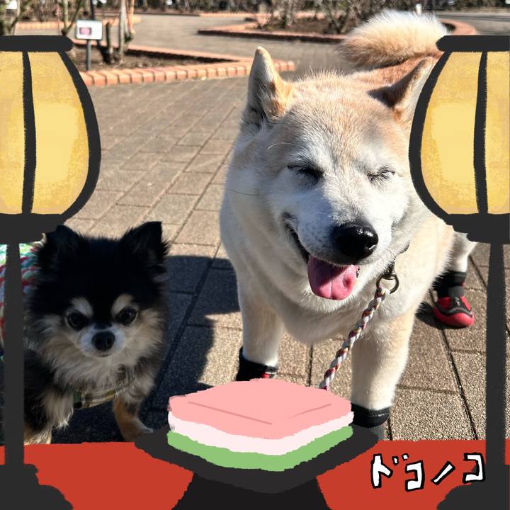 Dcf50ce4 e243 4b70 9946 9ed8bbbc3653 1741057025277