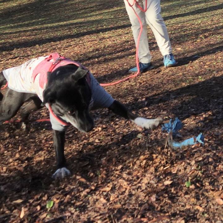 Dcf552dd 5602 4d56 9321 e9071be7d8f4 1702084249980