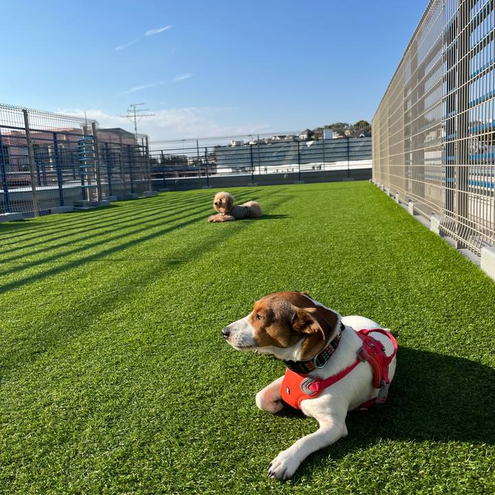 Dcf5632f bdcc 47ff 8c87 04aa13e6ad19 1763204504894